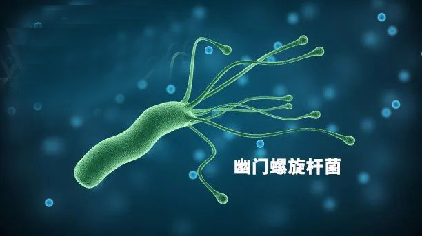 清除口腔內(nèi)幽門(mén)螺旋桿菌，次氯酸漱口水有奇效！(圖1)