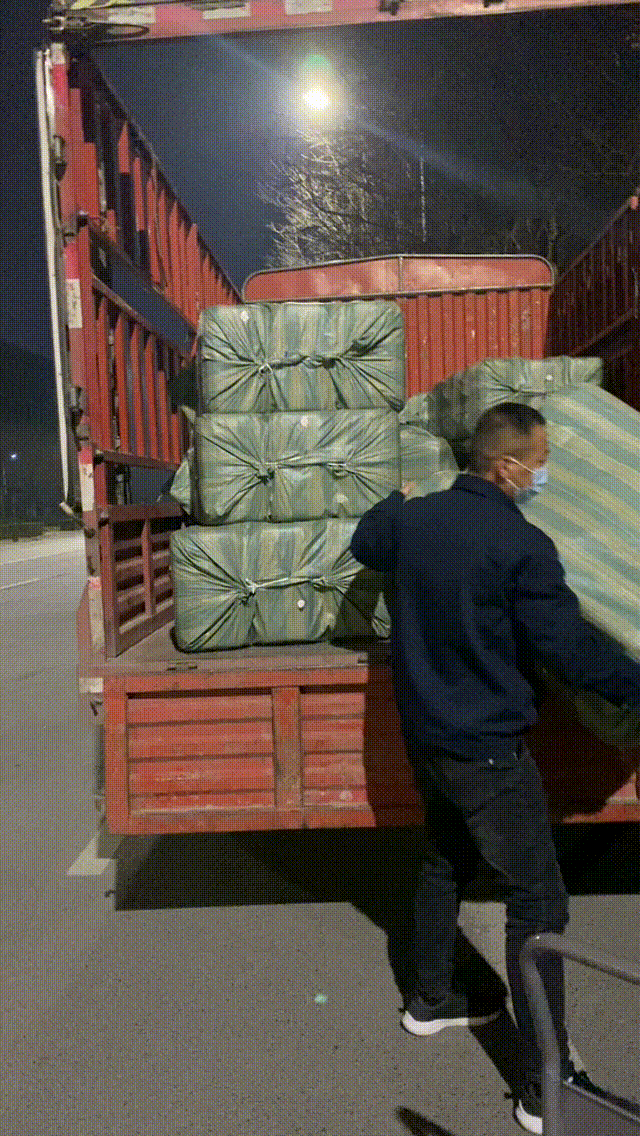 響應號召 |中共西安信點醫(yī)療黨支部黨員倡議書(圖10)