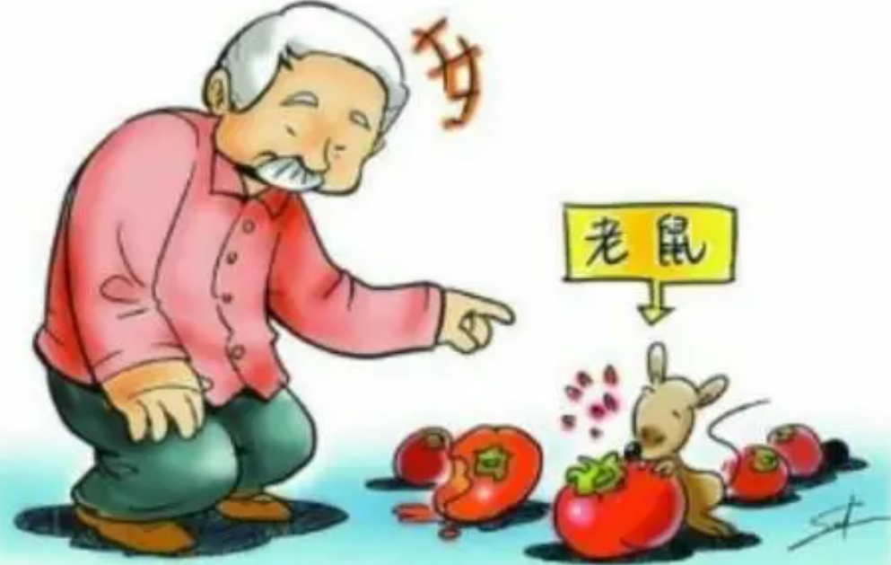 市疾控中心：十一月健康信息提示 新冠肺炎防控依然不能放松警惕(圖7)