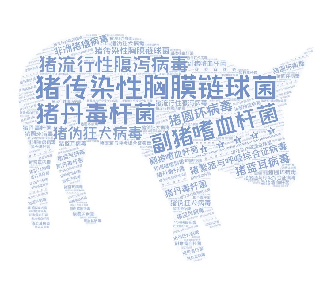 消毒有道，降本增效—次氯酸消毒劑殺滅各類豬場(chǎng)病原菌效果顯著(圖2)