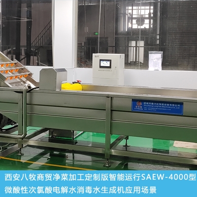 智能運行SAEW-4000-2.0型微酸性次氯酸電解水生成機(圖2)