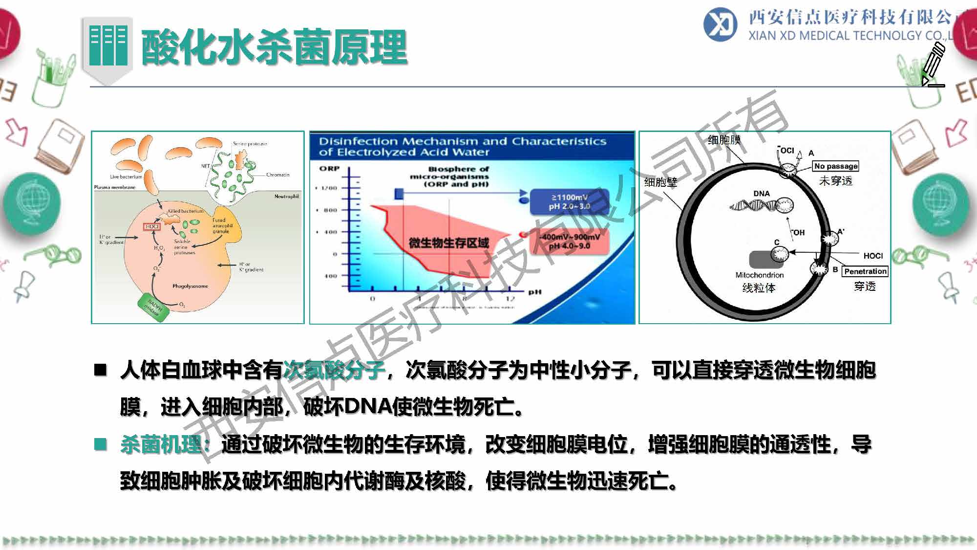 教育領(lǐng)域(圖10)