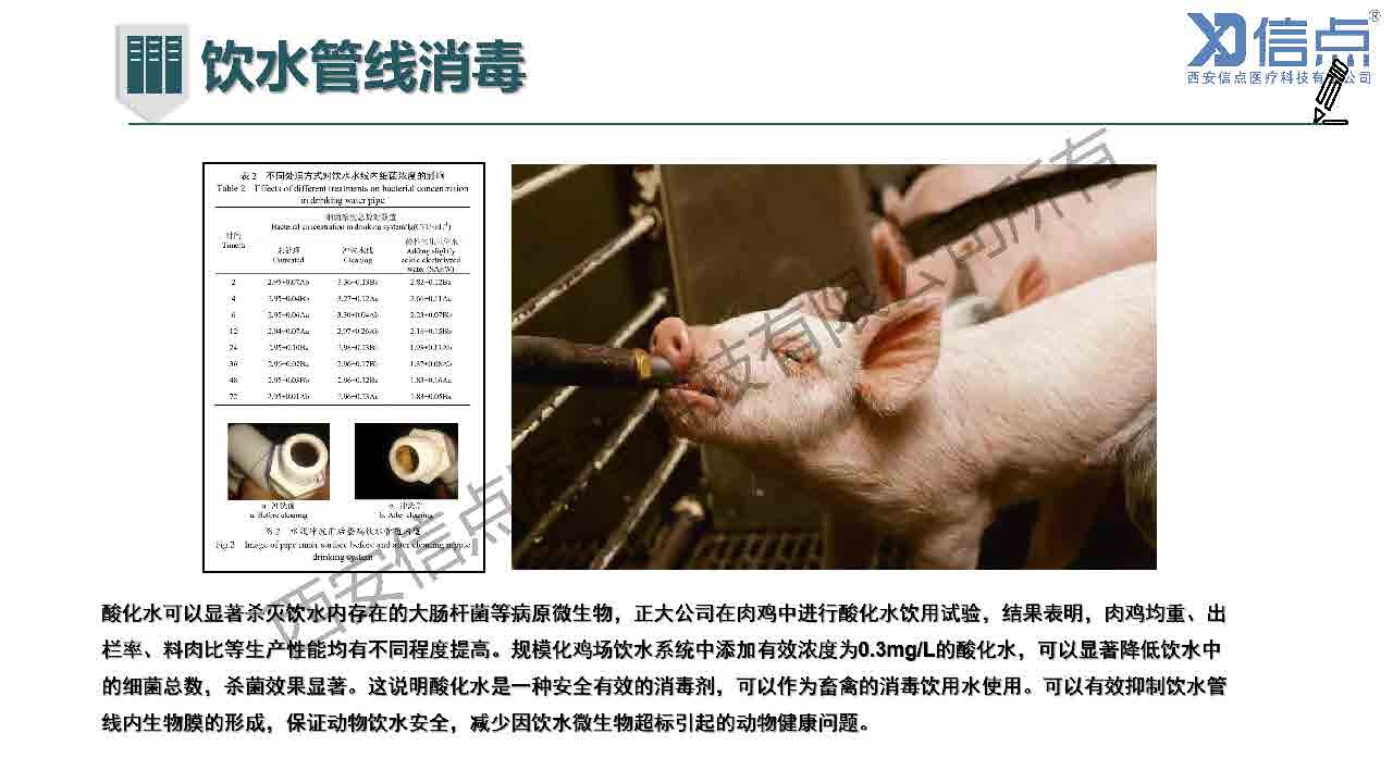 畜牧養(yǎng)殖業(yè)酸化水&微酸水消毒解決方案(圖26)
