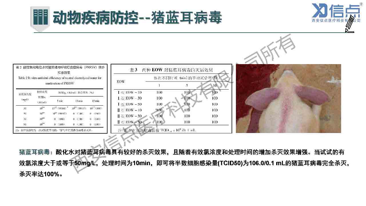 畜牧養(yǎng)殖業(yè)酸化水&微酸水消毒解決方案(圖28)