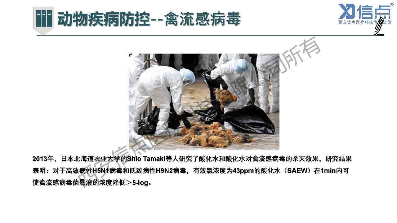 畜牧養(yǎng)殖業(yè)酸化水&微酸水消毒解決方案(圖29)