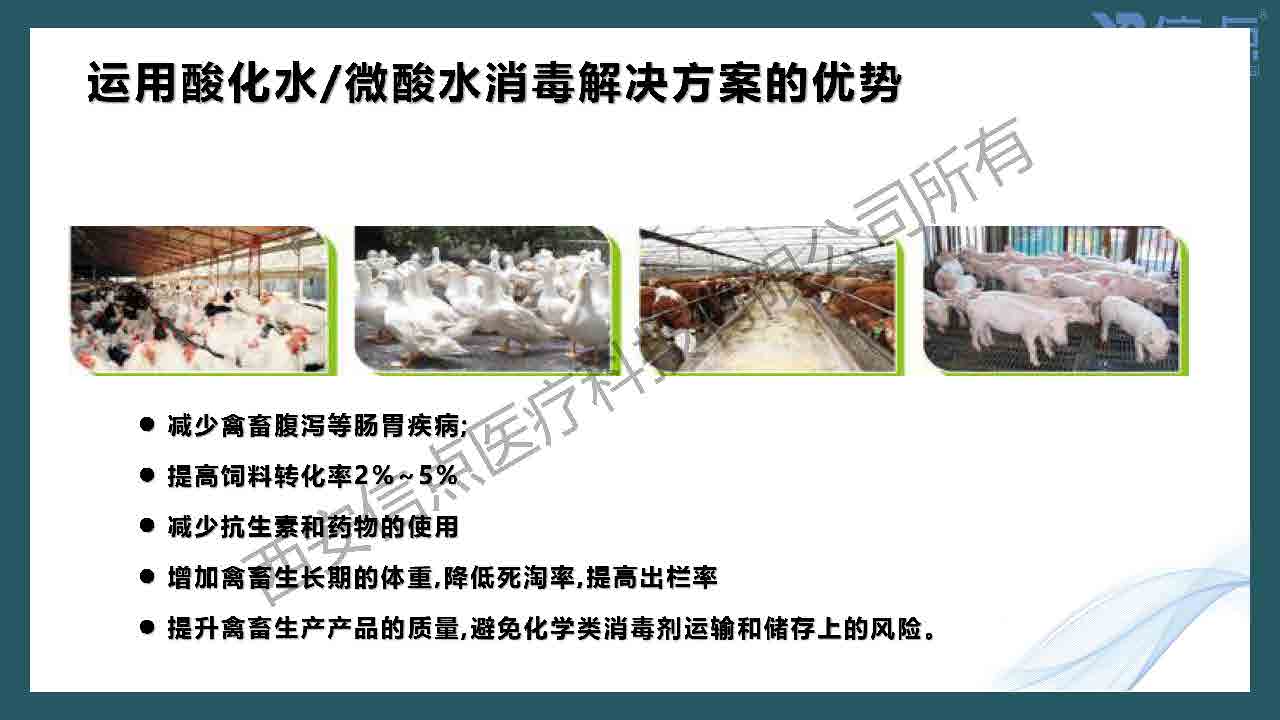 畜牧養(yǎng)殖業(yè)酸化水&微酸水消毒解決方案(圖35)
