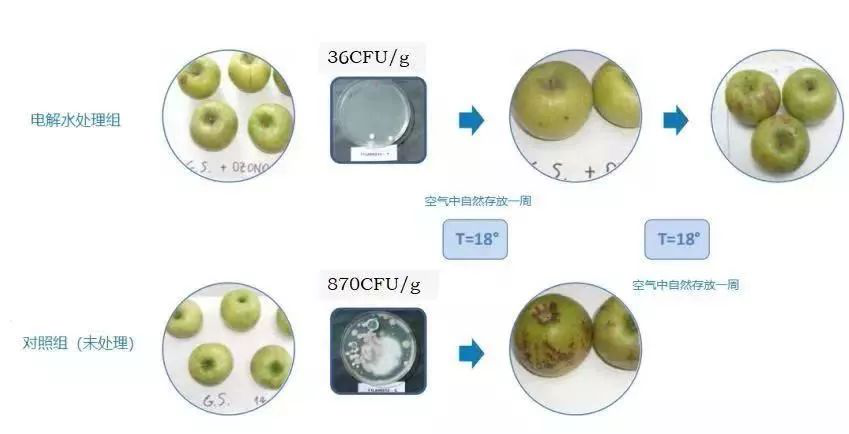 后疫情時(shí)代防控： 信點(diǎn)微酸性電解水機(jī)助力西安八牧商貿(mào)凈菜加工消毒(圖9)