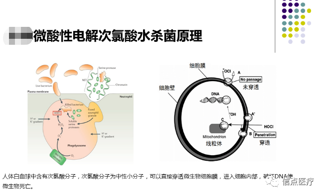 課件分享|西安交大二附院專家索瑤關(guān)于微酸性電解次氯酸水在醫(yī)療系統(tǒng)的應(yīng)用簡(jiǎn)介分享(圖23)