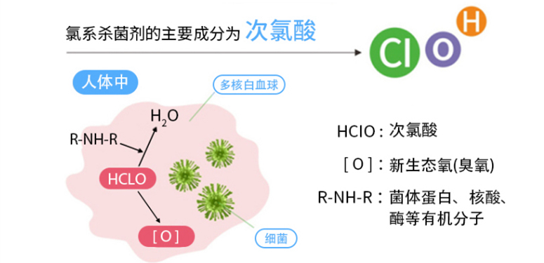 探討次氯酸作為外用殺菌消毒水的可行性 (圖1)