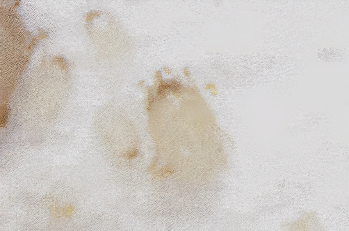 新型殺菌成分次氯酸，你了解多少？