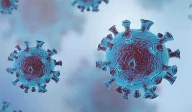 酸性電解水/次氯酸水可以殺滅哪些動物病毒？(圖3)