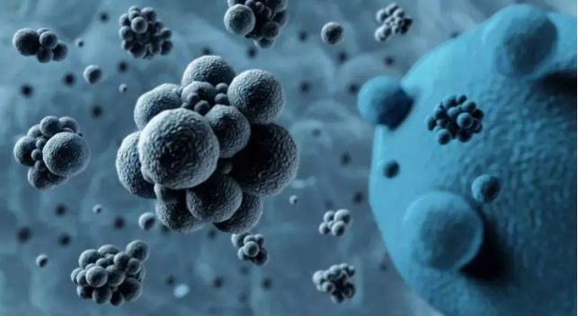 酸性電解水/次氯酸水可以殺滅哪些動物病毒？(圖4)