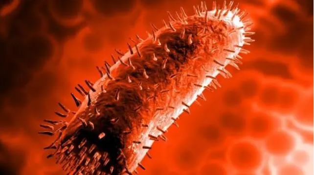 酸性電解水/次氯酸水可以殺滅哪些動物病毒？(圖6)