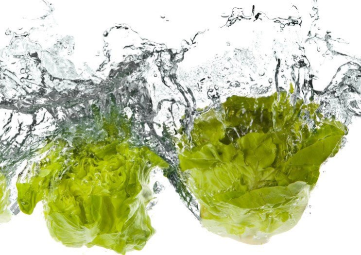 為什么HOCl（次氯酸）能更有效殺死病原體？(圖3)