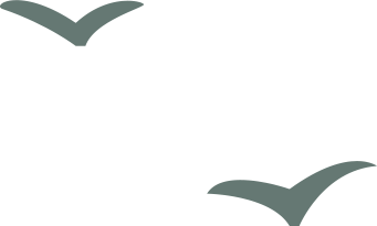 次氯酸減少鈦合金表面生物膜的效果(圖3)