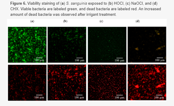 次氯酸減少鈦合金表面生物膜的效果(圖10)