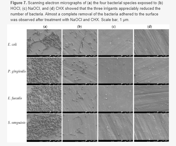 次氯酸減少鈦合金表面生物膜的效果(圖11)