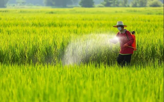 為什么電解次氯酸水可以降解有機磷類農(nóng)殘？(圖4)