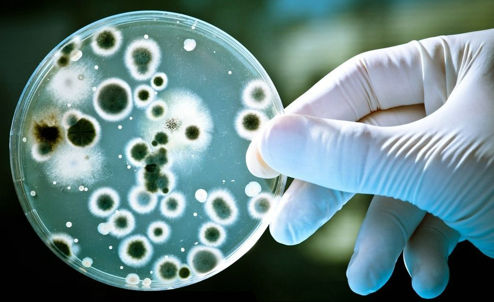 次氯酸——公交、地鐵消毒