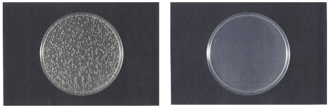 神奇的強堿性電解水……(圖10)