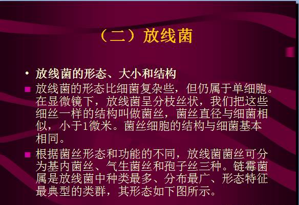 常見微生物菌落形態(tài)及消毒滅菌方式(圖13)