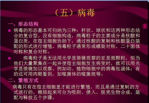 常見微生物菌落形態(tài)及消毒滅菌方式(圖20)