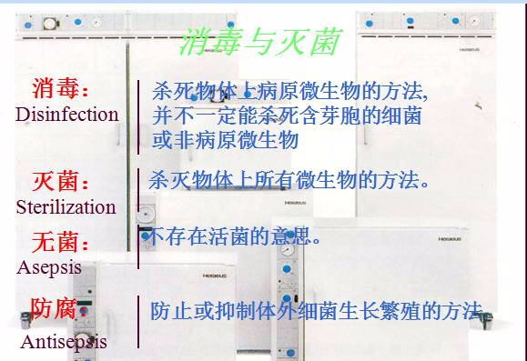 常見微生物菌落形態(tài)及消毒滅菌方式(圖26)