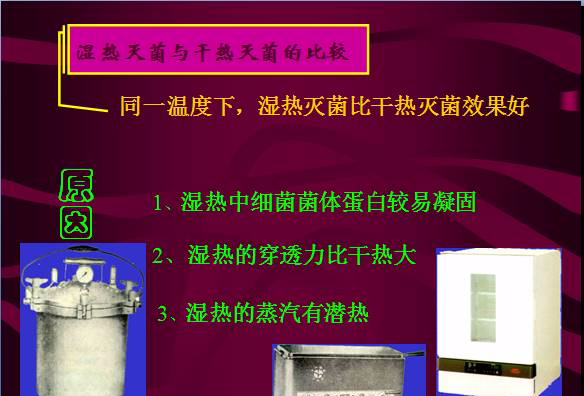 常見微生物菌落形態(tài)及消毒滅菌方式(圖29)