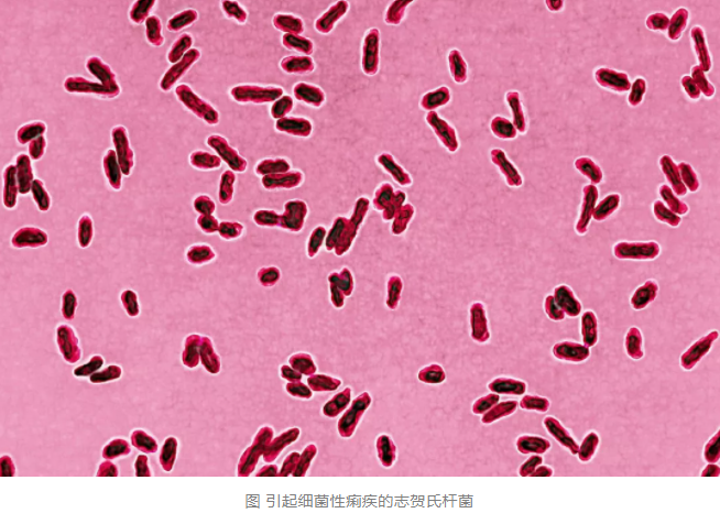 加油鄭州！洪澇災(zāi)害易爆發(fā)傳染病，莫要忽視災(zāi)后消毒！(圖6)