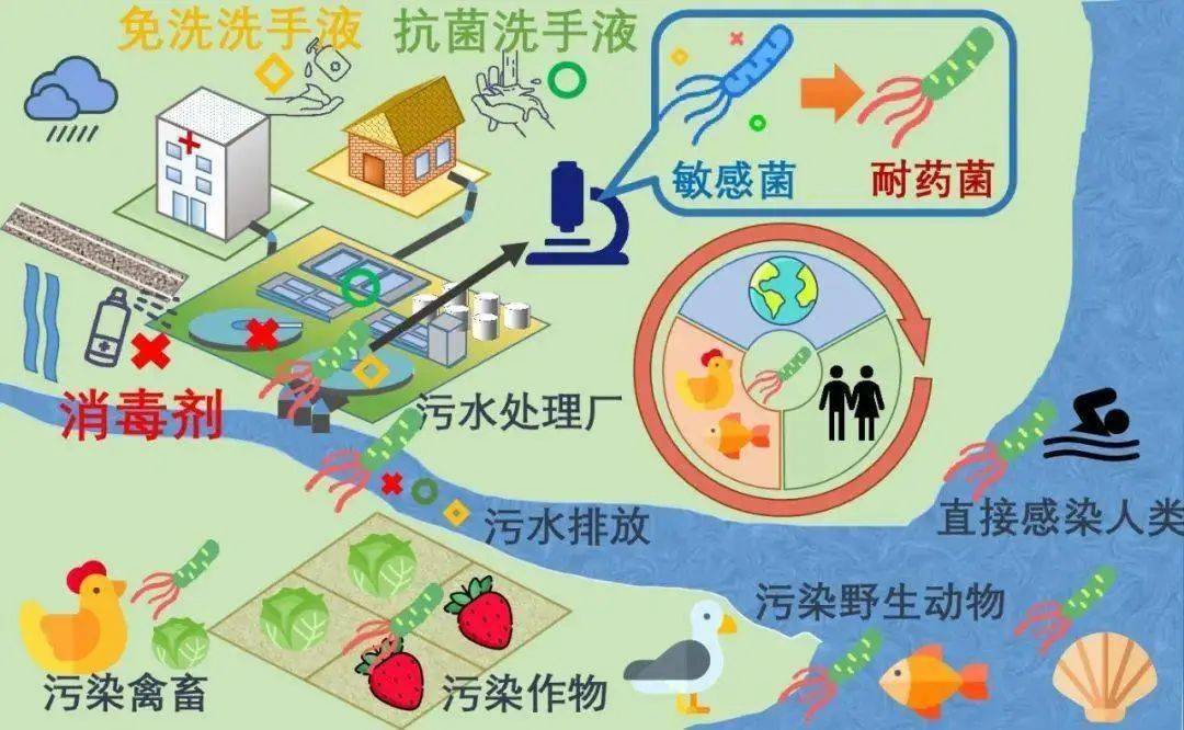 「過度消毒」加速細(xì)菌傳播，這7種錯(cuò)誤方式你中了幾個(gè)？(圖3)