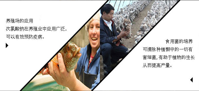 次氯酸鈉的主要用途!(圖7)