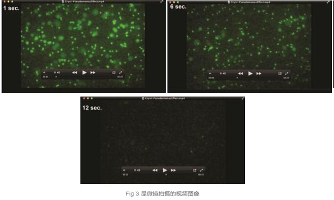 次氯酸——一種傷口護(hù)理劑