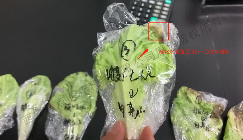 酸化水作用生菜實驗驗證酸化水對蔬菜的保鮮作用(圖4)