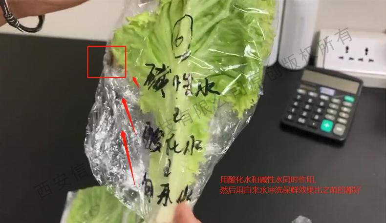 酸化水作用生菜實驗驗證酸化水對蔬菜的保鮮作用(圖5)