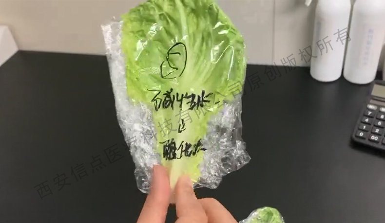 酸化水作用生菜實驗驗證酸化水對蔬菜的保鮮作用(圖7)