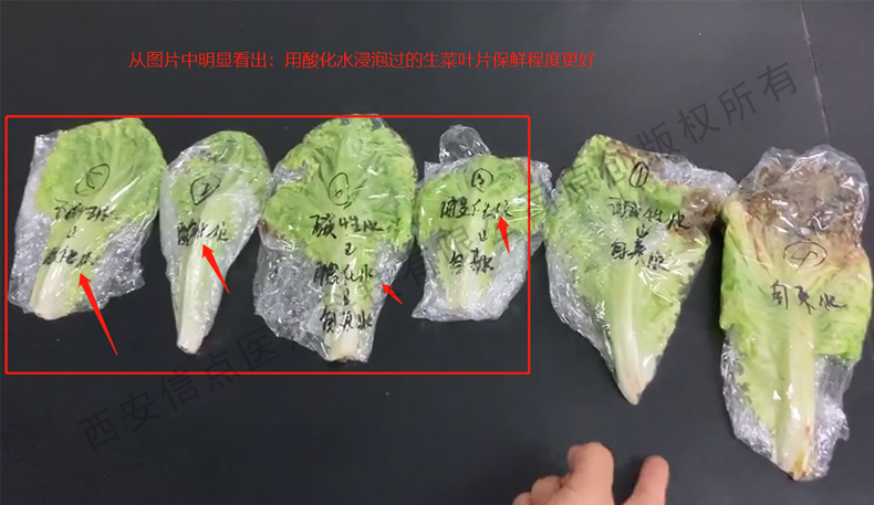 酸化水作用生菜實驗驗證酸化水對蔬菜的保鮮作用(圖9)