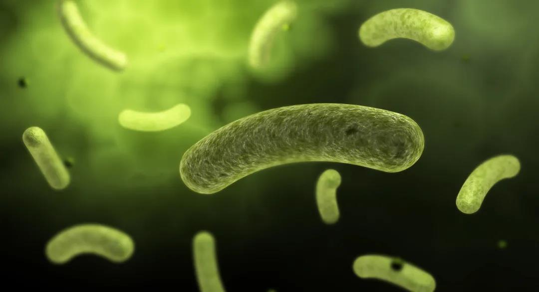 手衛(wèi)生質(zhì)量受哪些因素影響？--手衛(wèi)生消毒產(chǎn)品的分類與選擇(圖5)