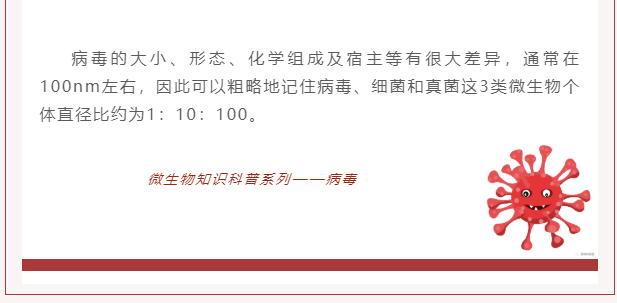 微生物科普 | 病毒是什么？(圖3)