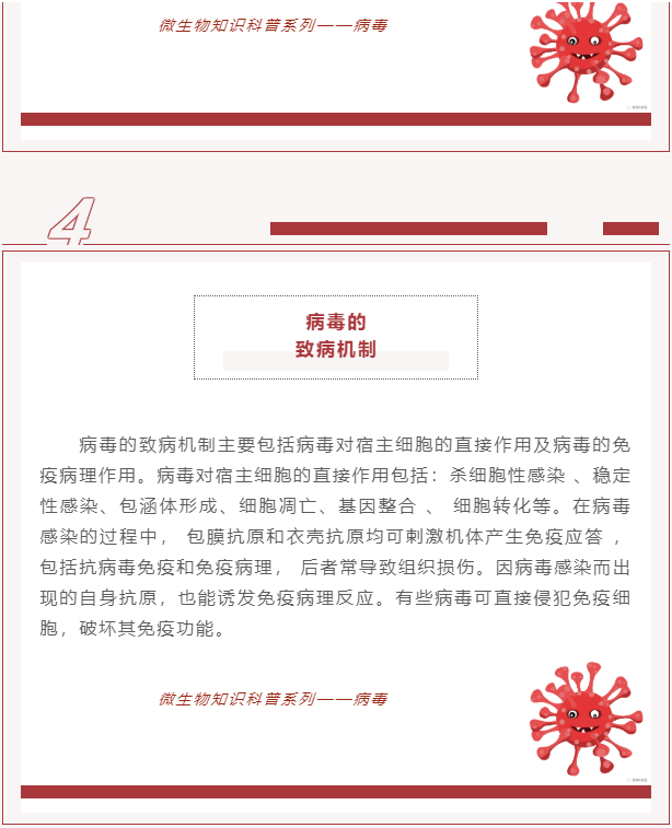 微生物科普 | 病毒是什么？(圖8)