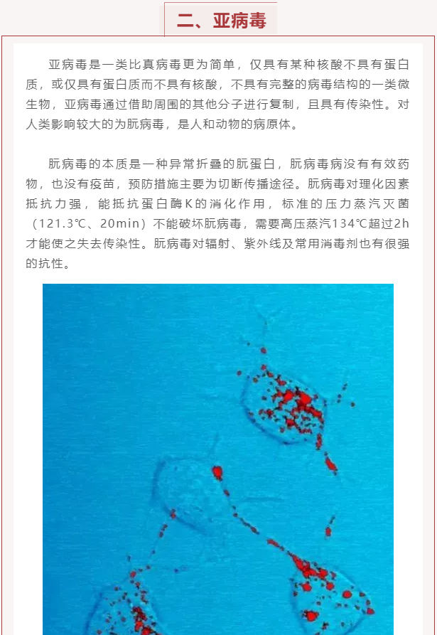 微生物科普 | 病毒是什么？(圖11)