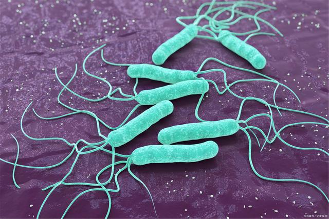 防疫|預(yù)防疾病感染，手消毒很重要！這三種手消毒的方式您都知道嗎？(圖4)