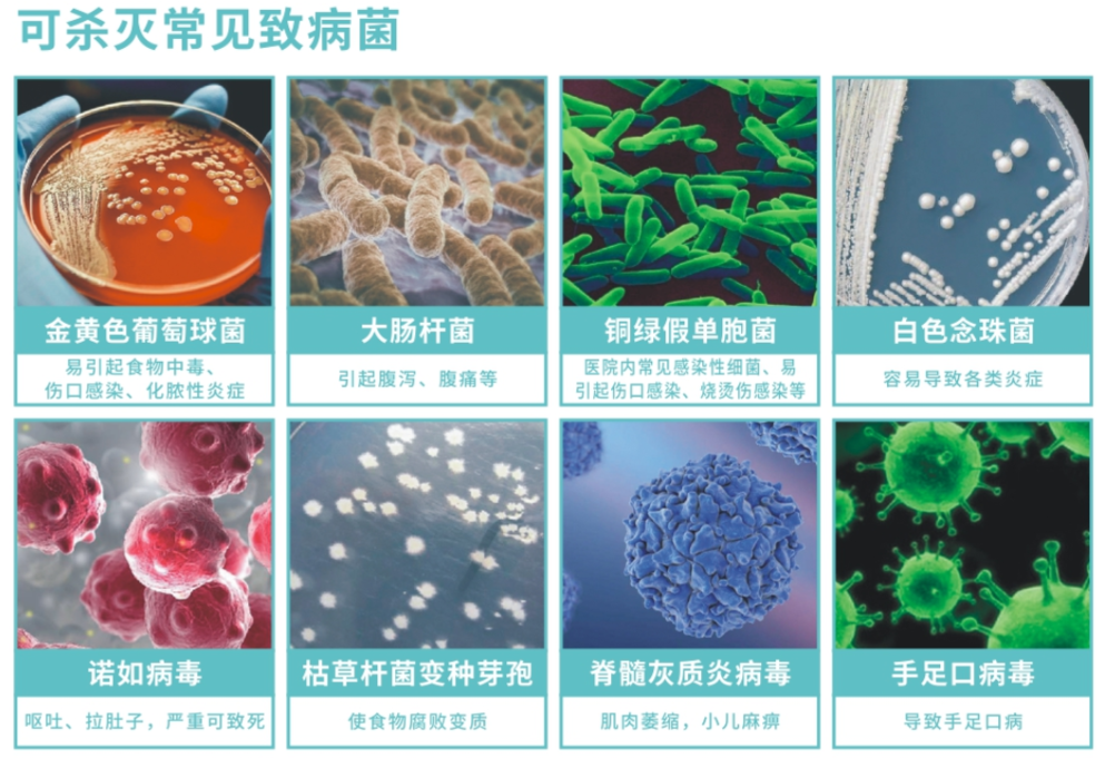 25升XD牌次氯酸消毒液(圖2)