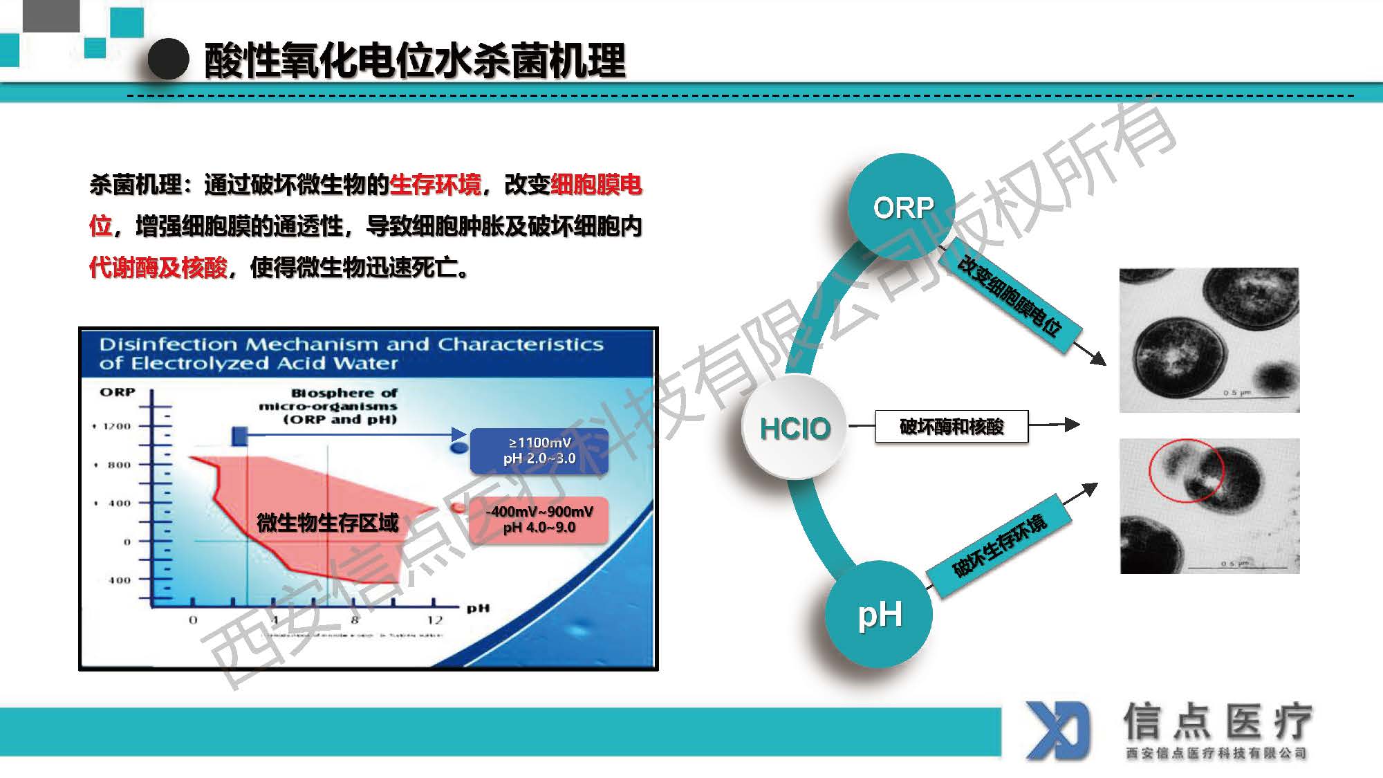 酸性氧化電位水生成器產(chǎn)品介紹(圖11)
