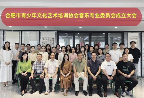 合肥市青少年文化藝術培訓協會音樂專業委員會正式成立