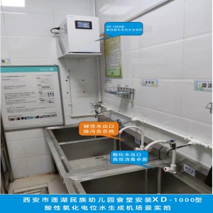 西安蓮湖民族幼兒園食堂安裝信點(diǎn)酸性氧化電位水生成機(jī)