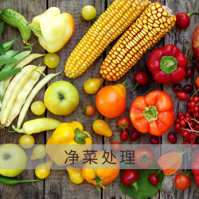 凈菜處理酸化水&微酸水解決方案